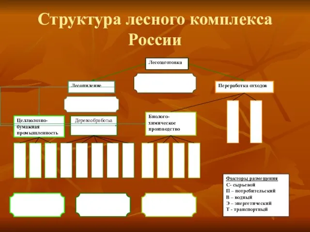 Структура лесного комплекса России