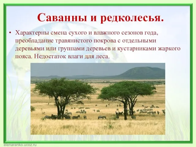 Саванны и редколесья. Характерны смена сухого и влажного сезонов года, преобладание