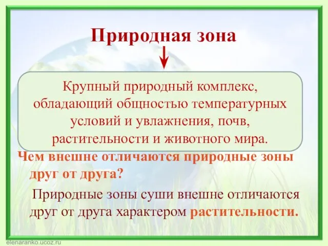 Природная зона Чем внешне отличаются природные зоны друг от друга? Природные