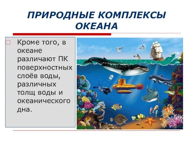 ПРИРОДНЫЕ КОМПЛЕКСЫ ОКЕАНА Кроме того, в океане различают ПК поверхностных слоёв