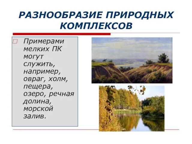 РАЗНООБРАЗИЕ ПРИРОДНЫХ КОМПЛЕКСОВ Примерами мелких ПК могут служить, например, овраг, холм,