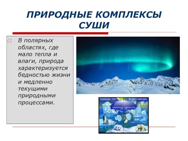 ПРИРОДНЫЕ КОМПЛЕКСЫ СУШИ В полярных областях, где мало тепла и влаги,