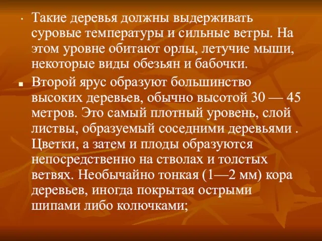 Такие деревья должны выдерживать суровые температуры и сильные ветры. На этом