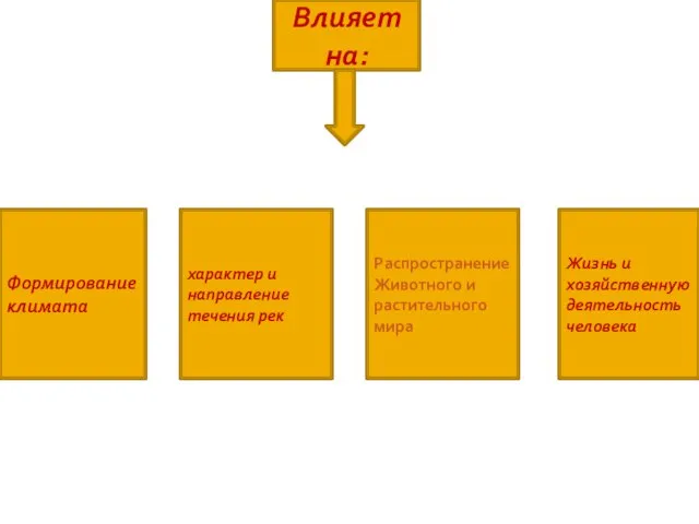 Формирование климата характер и направление течения рек Распространение Животного и растительного