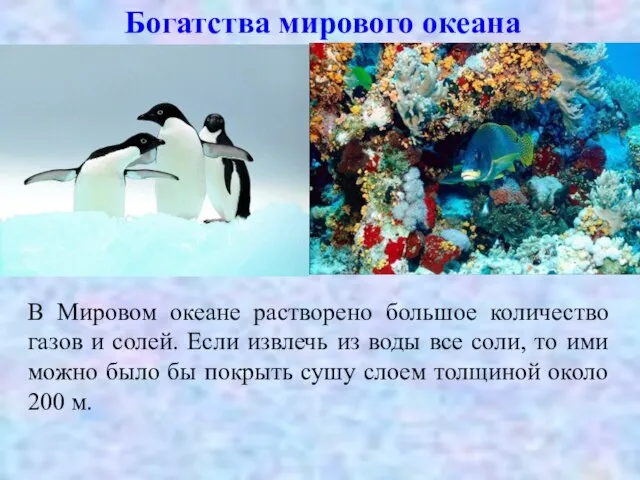 Богатства мирового океана В Мировом океане растворено большое количество газов и