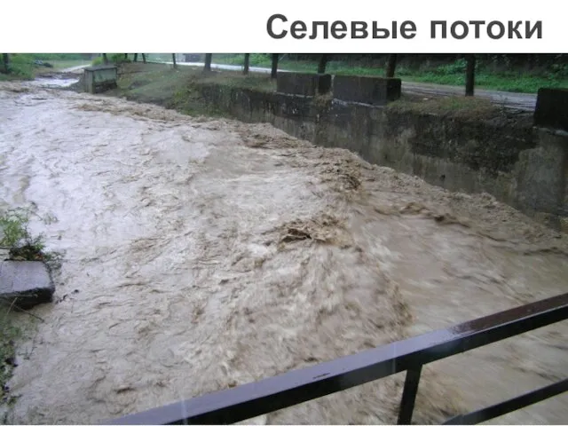 Селевые потоки