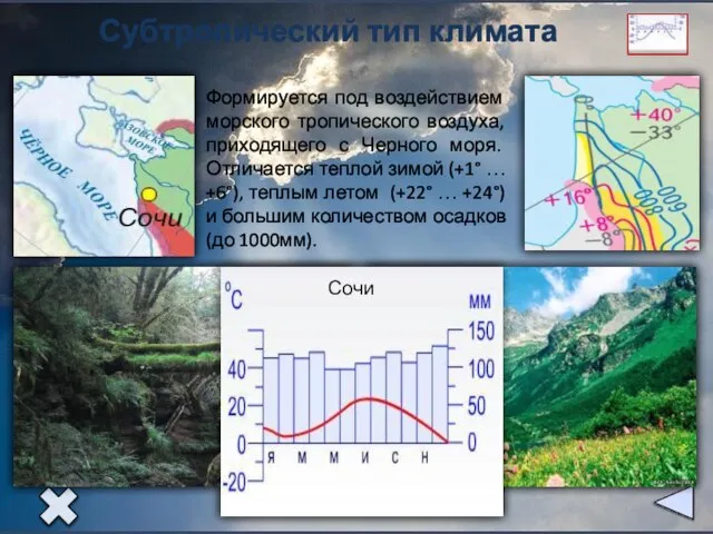 Субтропический тип климата Формируется под воздействием морского тропического воздуха, приходящего с