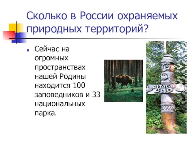 Сколько в России охраняемых природных территорий? Сейчас на огромных пространствах нашей