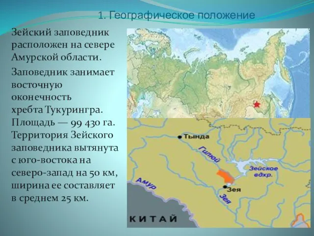 1. Географическое положение Зейский заповедник расположен на севере Амурской области. Заповедник