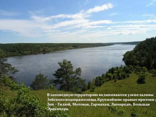 В заповедную территорию вклиниваются узкие заливы Зейского водохранилища.Крупнейшие правые притоки р.Зеи