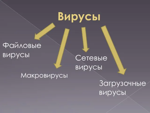 Вирусы Файловые вирусы Макровирусы Сетевые вирусы Загрузочные вирусы