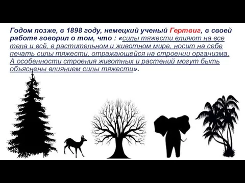 Годом позже, в 1898 году, немецкий ученый Гертвиг, в своей работе