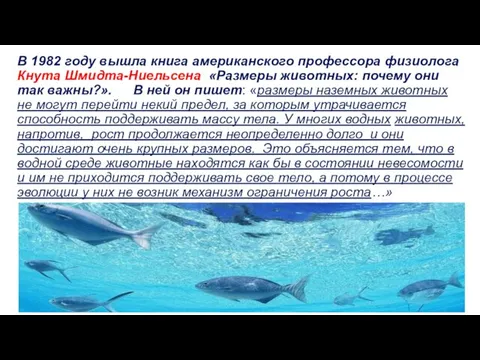 В 1982 году вышла книга американского профессора физиолога Кнута Шмидта-Ниельсена «Размеры