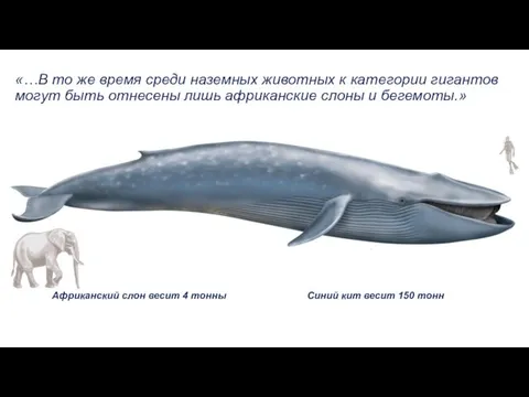 «…В то же время среди наземных животных к категории гигантов могут