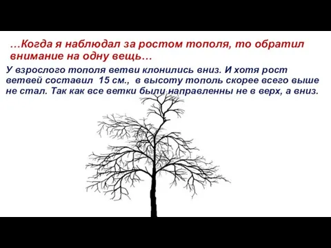 …Когда я наблюдал за ростом тополя, то обратил внимание на одну