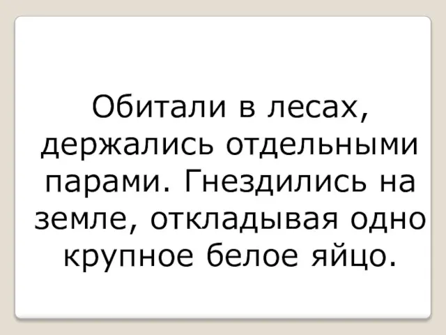 Обитали в лесах, держались отдельными парами. Гнездились на земле, откладывая одно крупное белое яйцо.