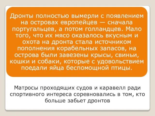 Матросы проходящих судов и каравелл ради спортивного интереса соревновались в том, кто больше забьет дронтов