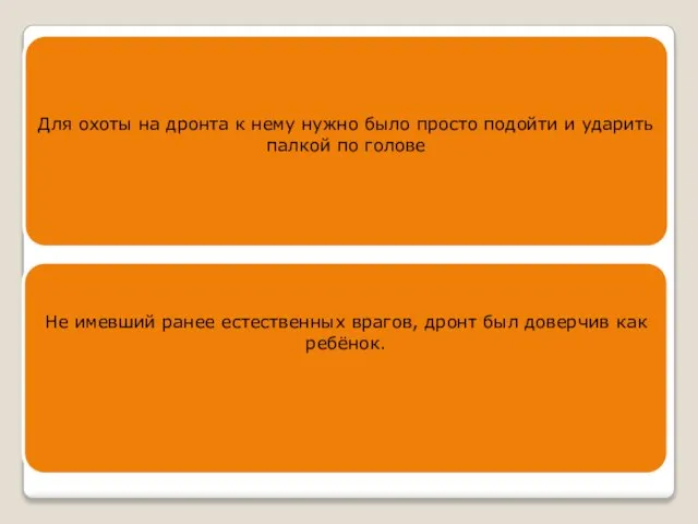 Для охоты на дронта к нему нужно было просто подойти и