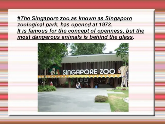 #The Singapore zoo,as known as Singapore zoological park, has opened at