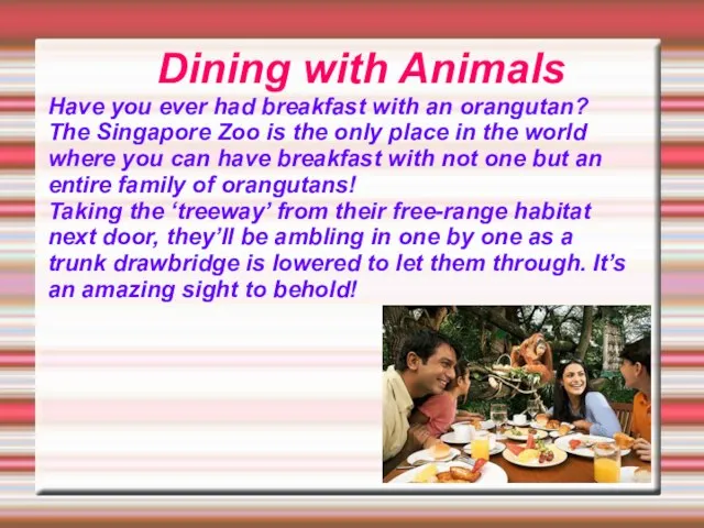 Dining with Animals Have you ever had breakfast with an orangutan?