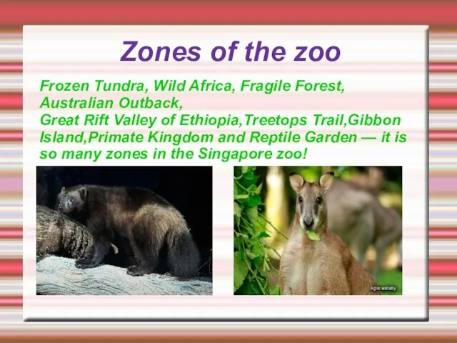 Zones of the zoo Frozen Tundra, Wild Africa, Fragile Forest, Australian