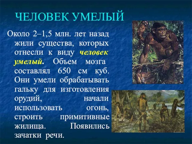 ЧЕЛОВЕК УМЕЛЫЙ Около 2–1,5 млн. лет назад жили существа, которых отнесли