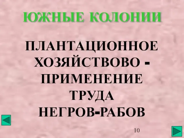 ЮЖНЫЕ КОЛОНИИ ПЛАНТАЦИОННОЕ ХОЗЯЙСТВОВО - ПРИМЕНЕНИЕ ТРУДА НЕГРОВ-РАБОВ