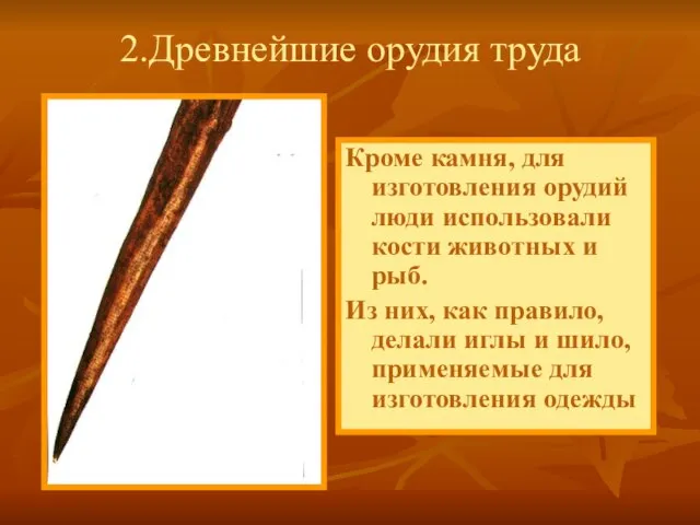 Кроме камня, для изготовления орудий люди использовали кости животных и рыб.