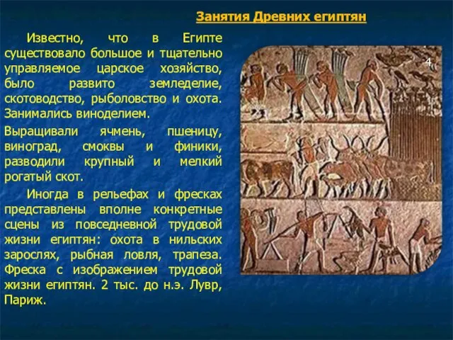 Известно, что в Египте существовало большое и тщательно управляемое царское хозяйство,