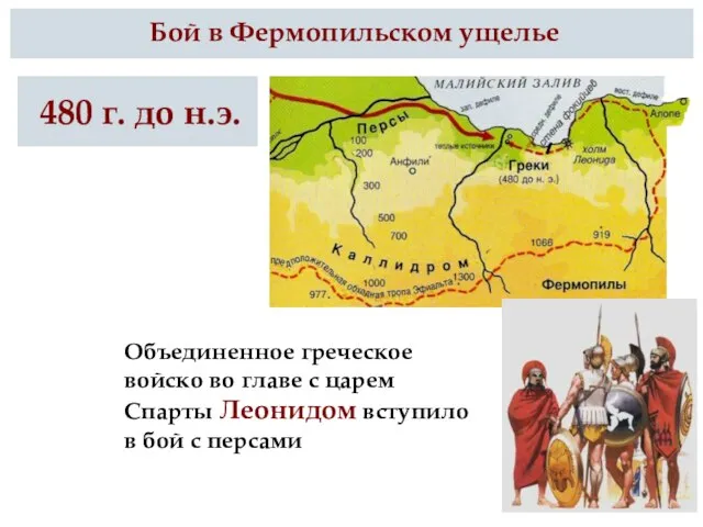 Бой в Фермопильском ущелье 480 г. до н.э. Объединенное греческое войско