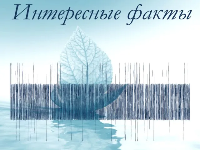 Интересные факты В годы военной службы Афанасий Фет пережил трагическую любовь,