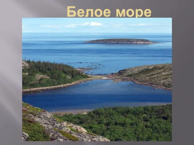 Белое море