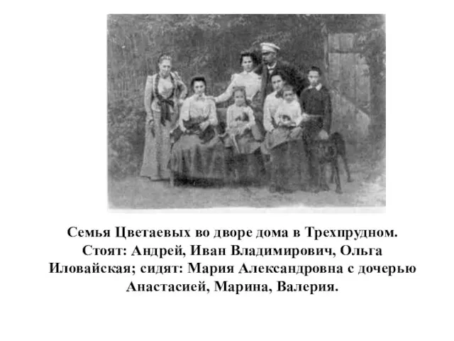 Семья Цветаевых во дворе дома в Трехпрудном. Стоят: Андрей, Иван Владимирович,