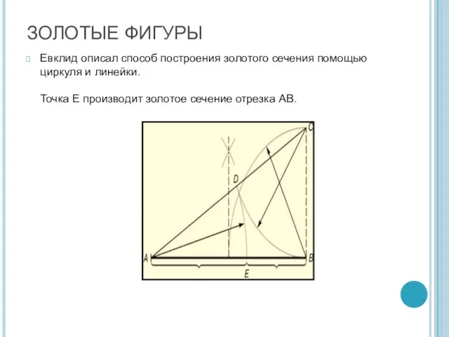 ЗОЛОТЫЕ ФИГУРЫ Евклид описал способ построения золотого сечения помощью циркуля и