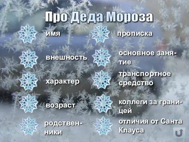 Про Деда Мороза имя внешность характер возраст прописка основное заня-тие транспортное