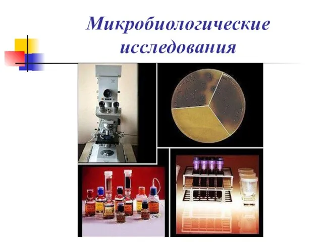 Микробиологические исследования