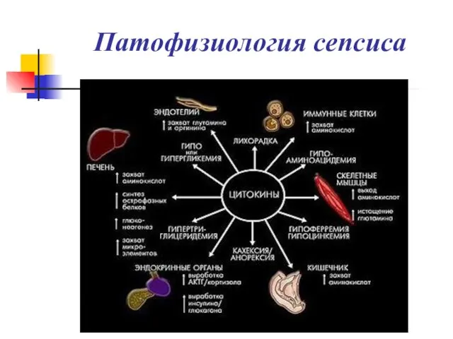 Патофизиология сепсиса