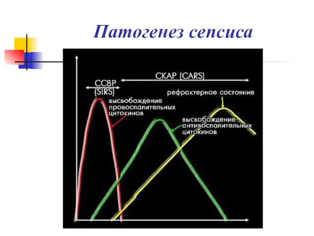 Патогенез сепсиса