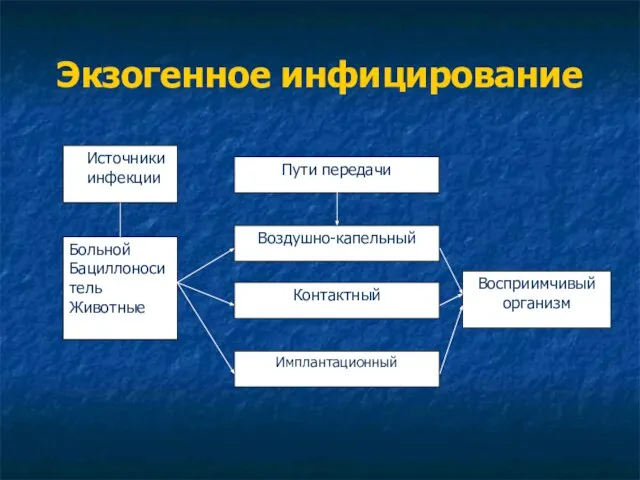 Экзогенное инфицирование