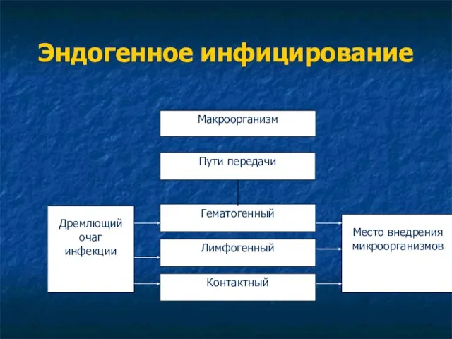 Эндогенное инфицирование