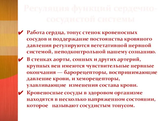 Регуляция функций сердечно-сосудистой системы Работа сердца, тонус стенок кровеносных сосудов и