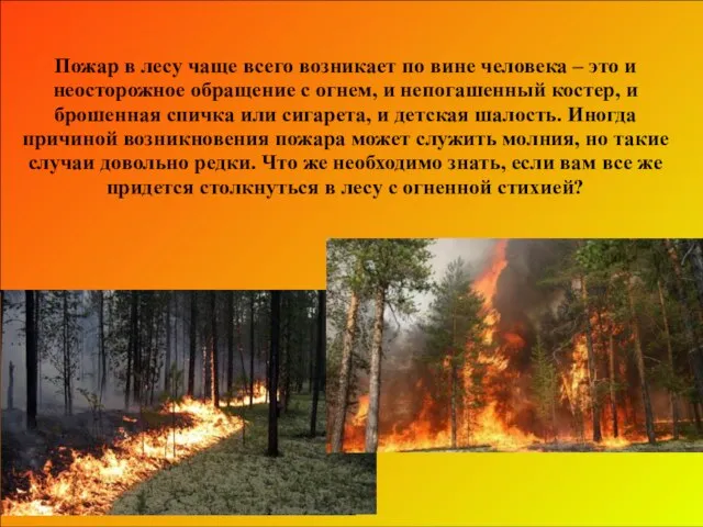 Пожар в лесу чаще всего возникает по вине человека – это