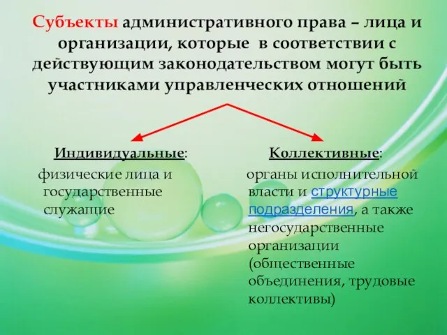 Субъекты административного права – лица и организации, которые в соответствии с