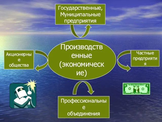 Производственные (экономические) Акционерные общества Государственные, Муниципальные предприятия Профессиональные объединения Частные предприятия