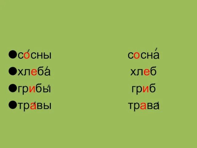 сосны хлеба грибы травы сосна хлеб гриб трава