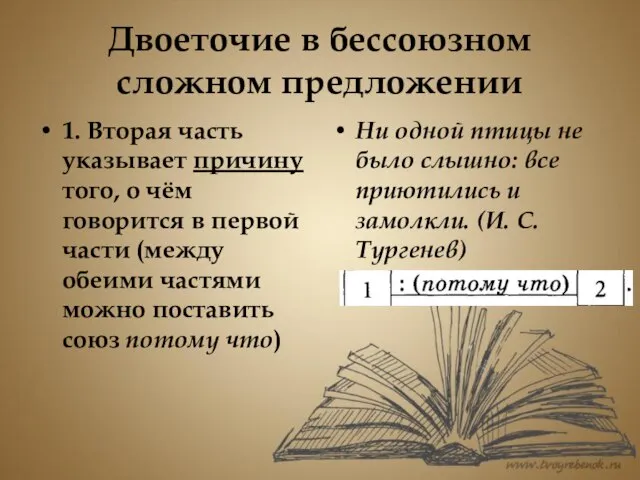 Двоеточие в бессоюзном сложном предложении 1. Вторая часть указывает причину того,