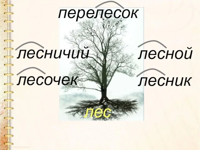 лес лесник лесной лесочек лесничий перелесок