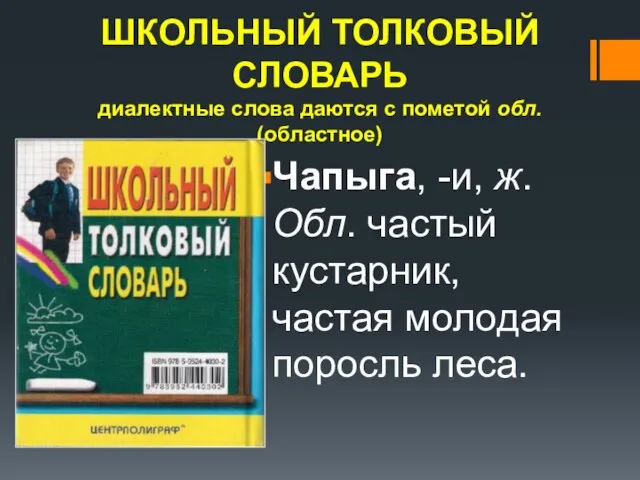 ШКОЛЬНЫЙ ТОЛКОВЫЙ СЛОВАРЬ диалектные слова даются с пометой обл. (областное) Чапыга,