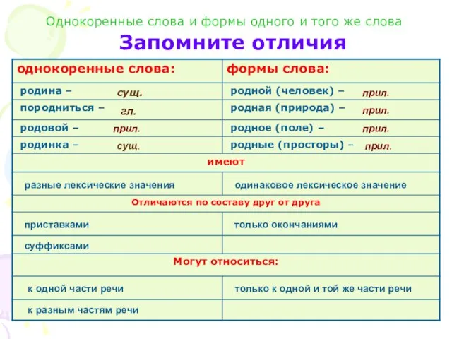 Однокоренные слова и формы одного и того же слова Запомните отличия