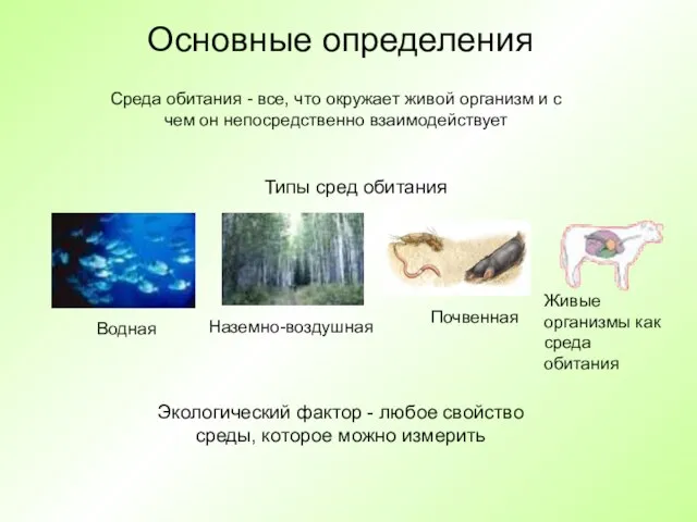 Основные определения Среда обитания - все, что окружает живой организм и